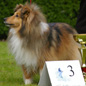 Roxanne du Jardin d'Ang�lique (3�me EXC). Propri�taire et productrice : F�licia DECHALOU.